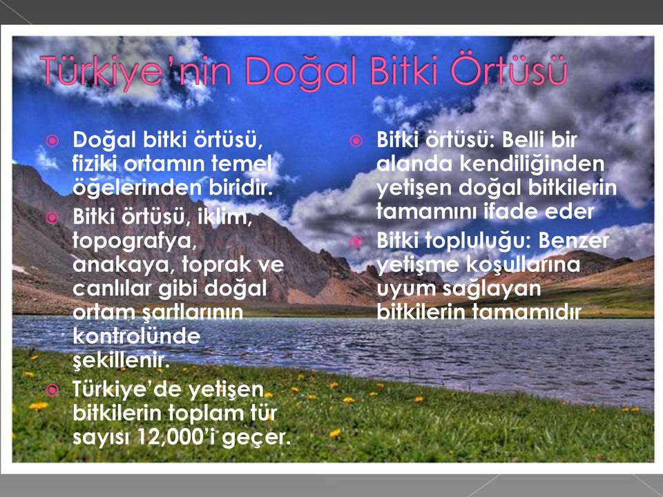 şekillenir. Türkiye de yetişen bitkilerin toplam tür sayısı 12,000 i geçer.