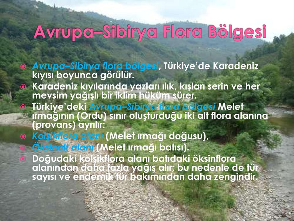 Türkiye deki Avrupa Sibirya flora bölgesi Melet ırmağının (Ordu) sınır oluşturduğu iki alt flora alanına (provans) ayrılır: