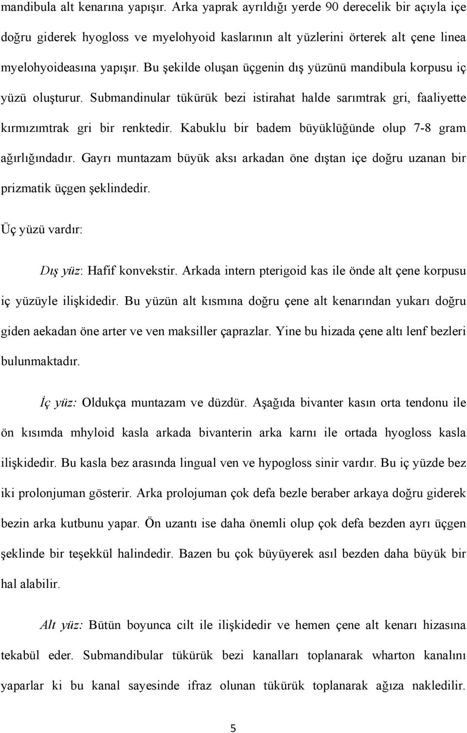 Kabuklu bir badem büyüklüğünde olup 7-8 gram ağırlığındadır. Gayrı muntazam büyük aksı arkadan öne dıştan içe doğru uzanan bir prizmatik üçgen şeklindedir. Üç yüzü vardır: Dış yüz: Hafif konvekstir.