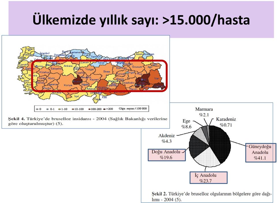 sayı: >15.