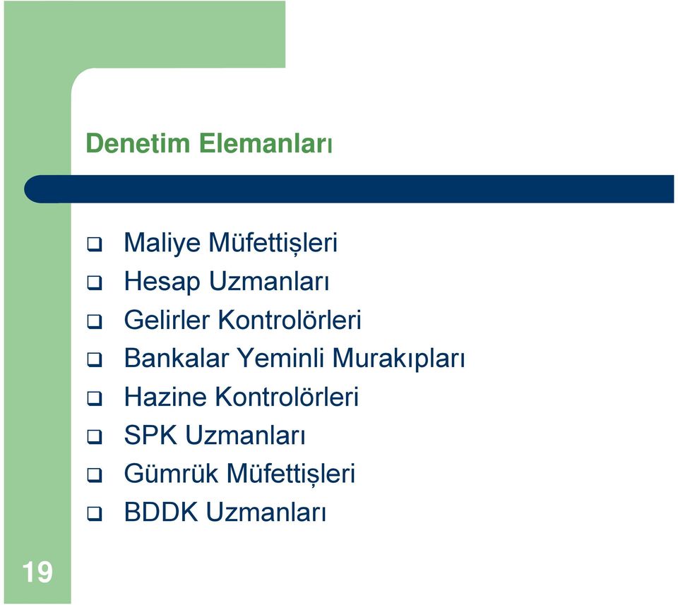 Yeminli Murakıpları Hazine Kontrolörleri SPK