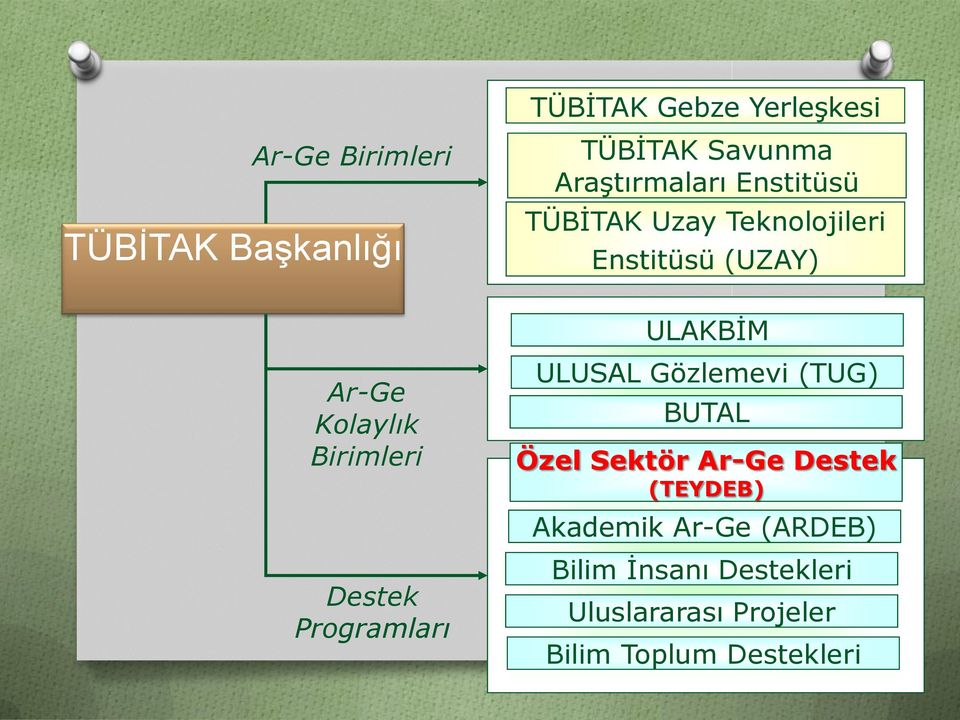 Birimleri Destek Programları ULUSAL Gözlemevi (TUG) BUTAL Özel Sektör Ar-Ge Destek