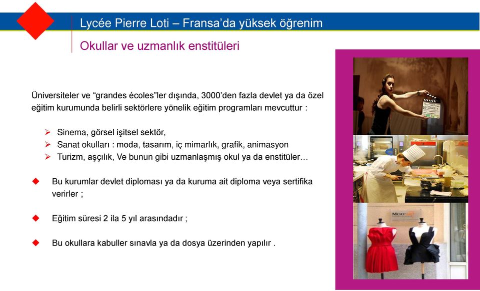 mimarlık, grafik, animasyon Turizm, aşçılık, Ve bunun gibi uzmanlaşmış okul ya da enstitüler Bu kurumlar devlet diploması ya da