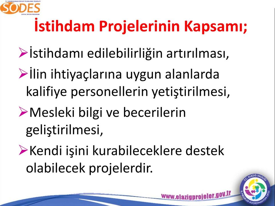 personellerin yetiştirilmesi, Mesleki bilgi ve becerilerin