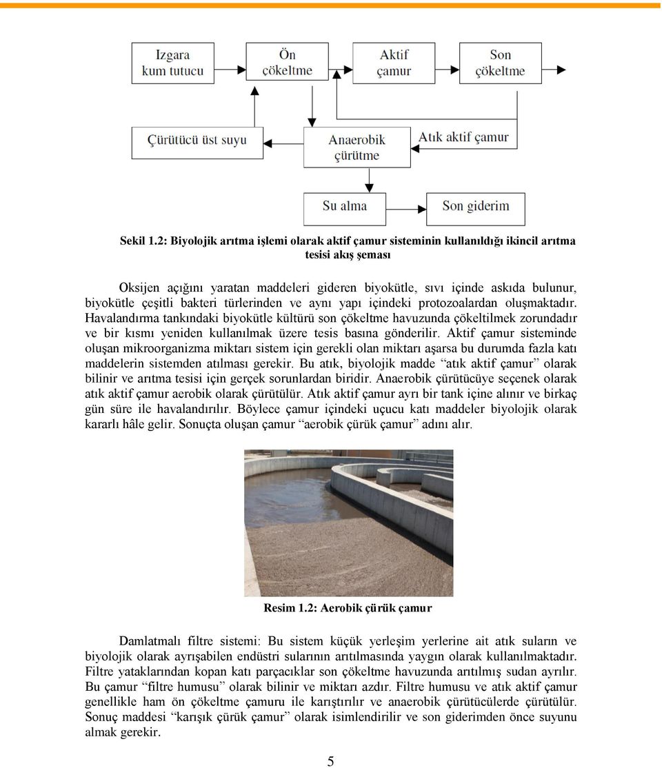 çeşitli bakteri türlerinden ve aynı yapı içindeki protozoalardan oluşmaktadır.