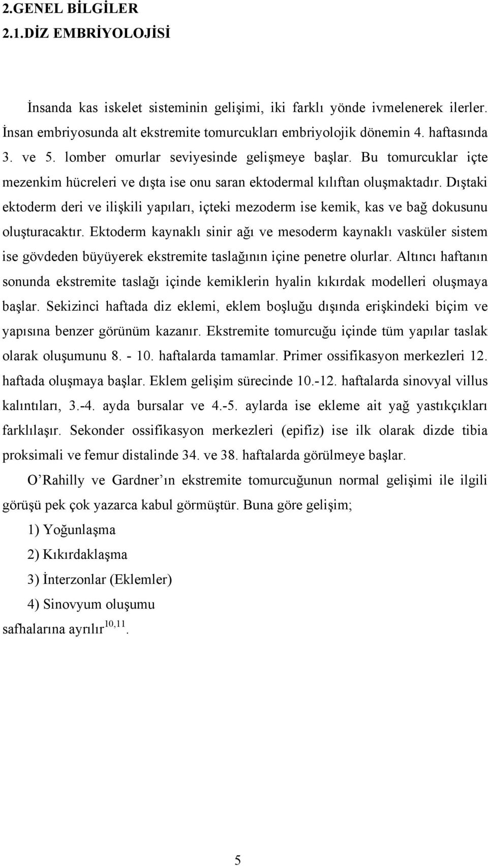 Dıştaki ektoderm deri ve ilişkili yapıları, içteki mezoderm ise kemik, kas ve bağ dokusunu oluşturacaktır.