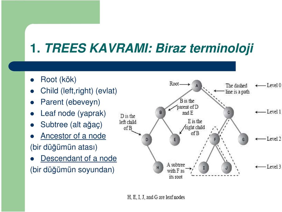 (yaprak) Subtree (alt ağaç) Ancestor of a node (bir