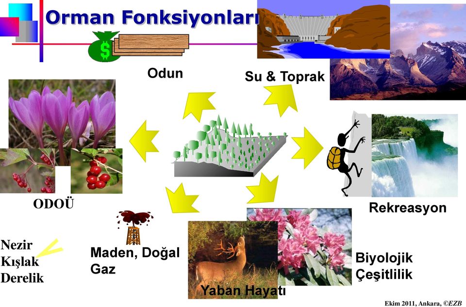 Kışlak Derelik Maden, Doğal