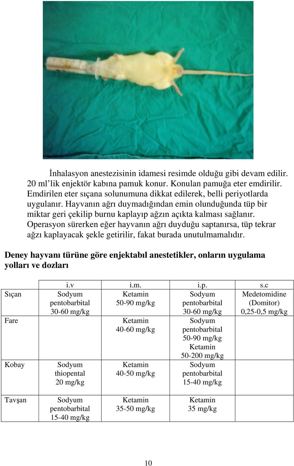 Operasyon sürerken eğer hayvanın ağrı duyduğu saptanırsa, tüp tekrar ağzı kaplayacak şekle getirilir, fakat burada unutulmamalıdır.