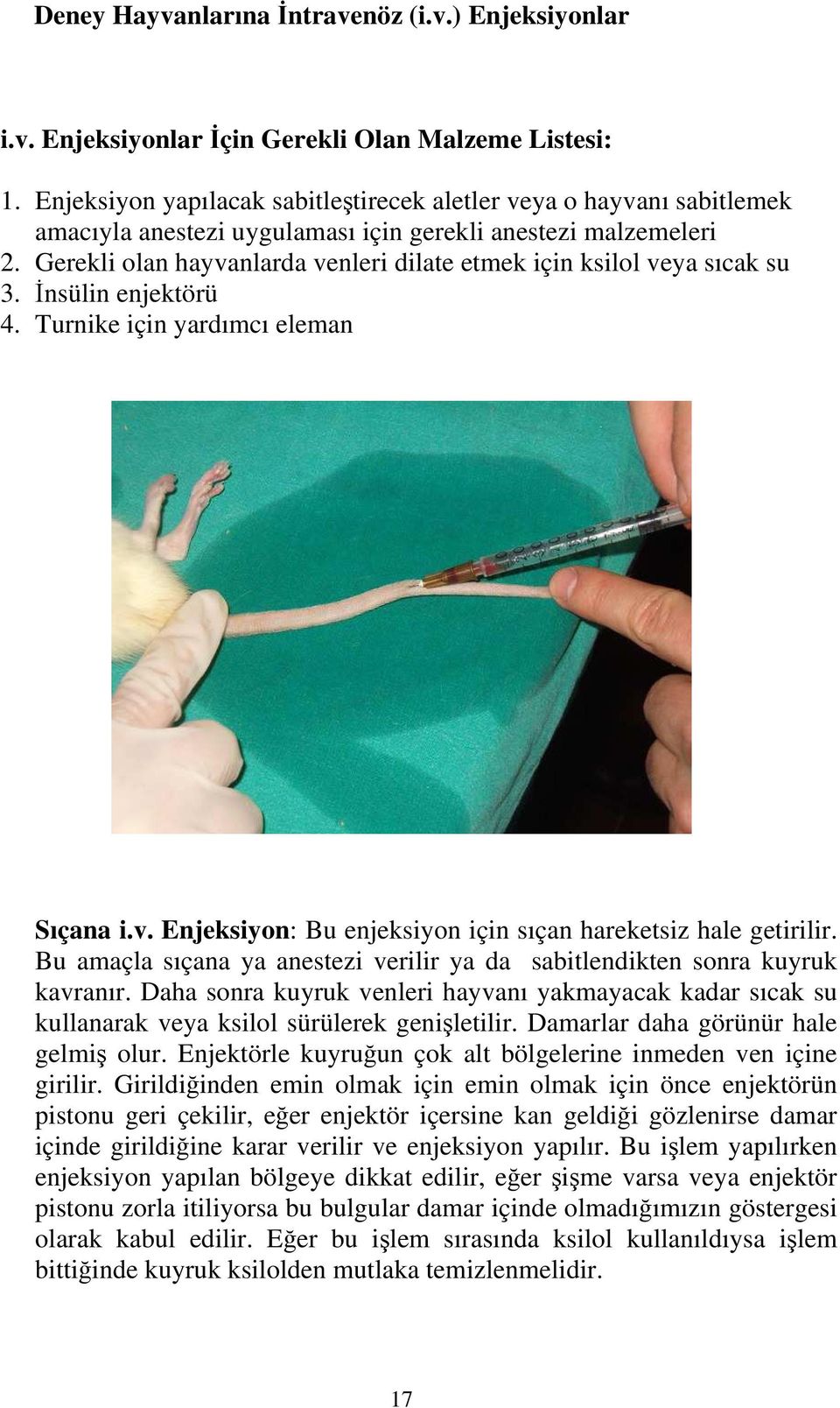 Gerekli olan hayvanlarda venleri dilate etmek için ksilol veya sıcak su 3. İnsülin enjektörü 4. Turnike için yardımcı eleman Sıçana i.v. Enjeksiyon: Bu enjeksiyon için sıçan hareketsiz hale getirilir.