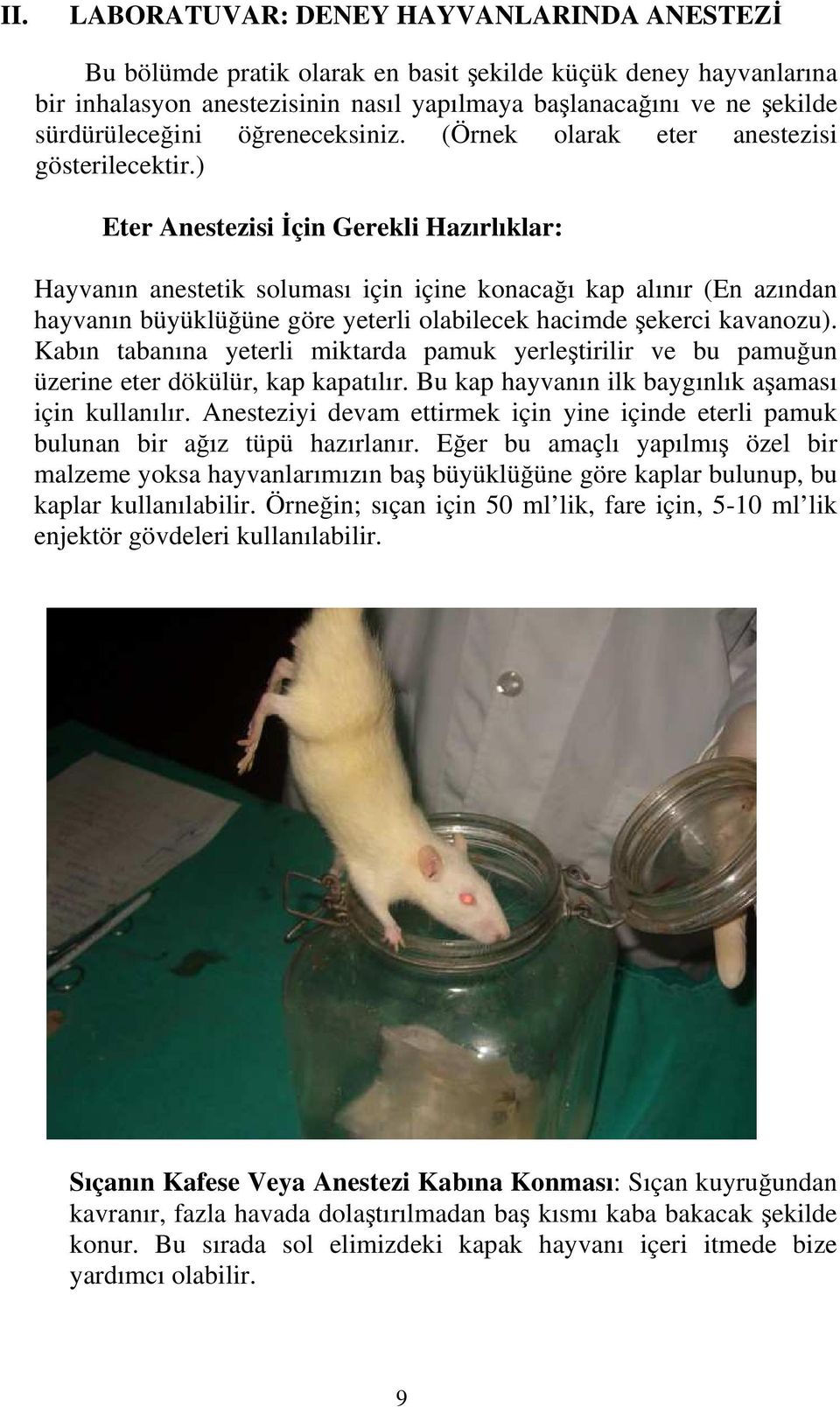 ) Eter Anestezisi İçin Gerekli Hazırlıklar: Hayvanın anestetik soluması için içine konacağı kap alınır (En azından hayvanın büyüklüğüne göre yeterli olabilecek hacimde şekerci kavanozu).