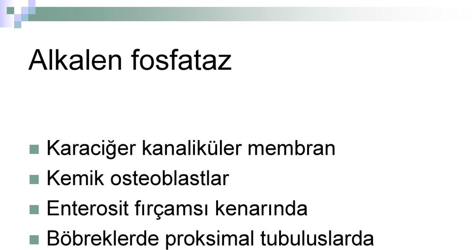 osteoblastlar Enterosit fırçamsı