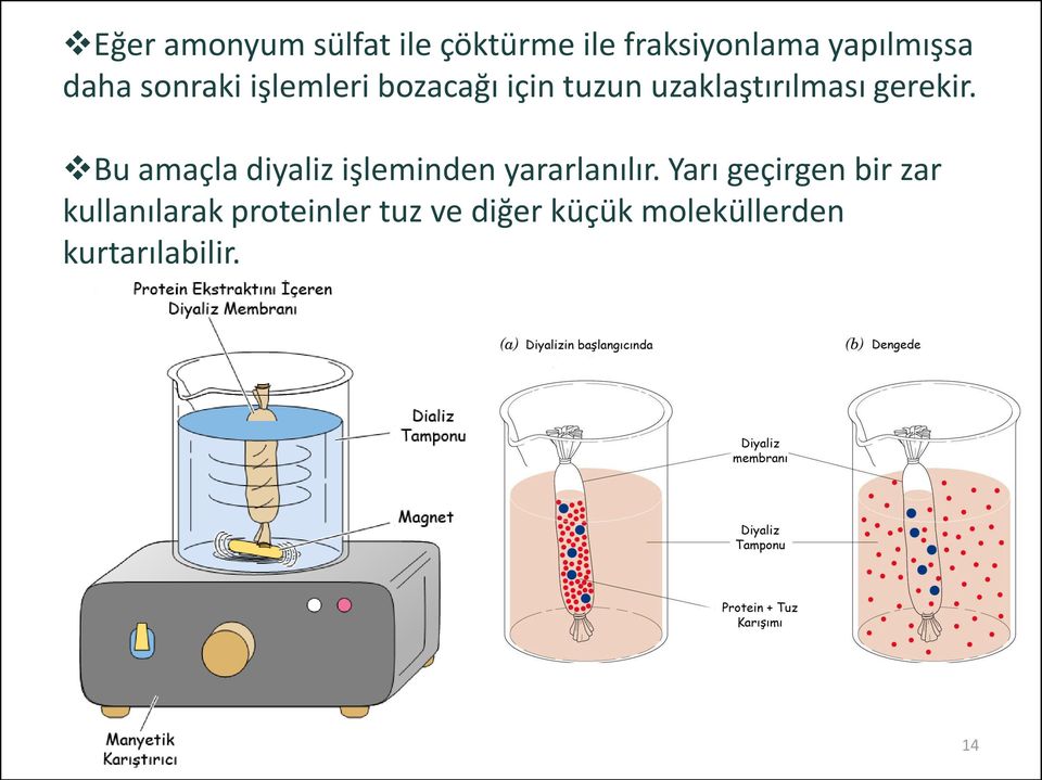 Bu amaçla diyaliz işleminden yararlanılır.