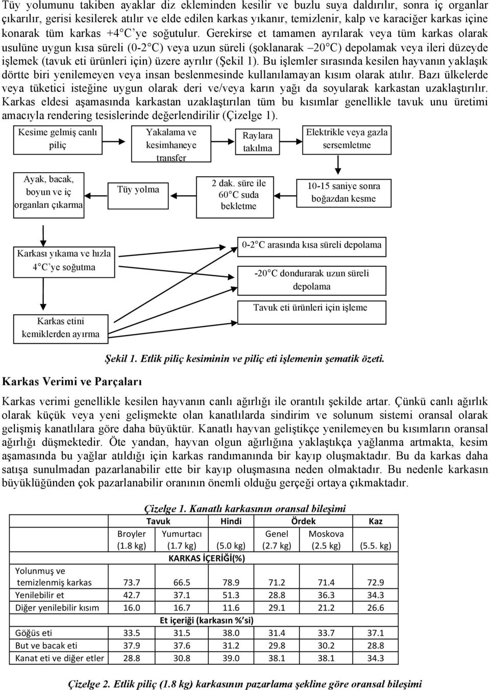 Gerekirse et tamamen ayrılarak veya tüm karkas olarak usulüne uygun kısa süreli (0-2 C) veya uzun süreli (şoklanarak 20 C) depolamak veya ileri düzeyde işlemek (tavuk eti ürünleri için) üzere ayrılır