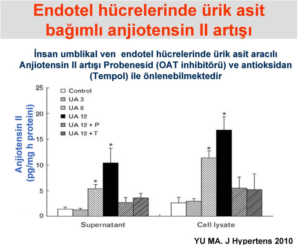 artışı Probenesid (OAT inhibitörü) ) ve antioksidan (Tempol) ile