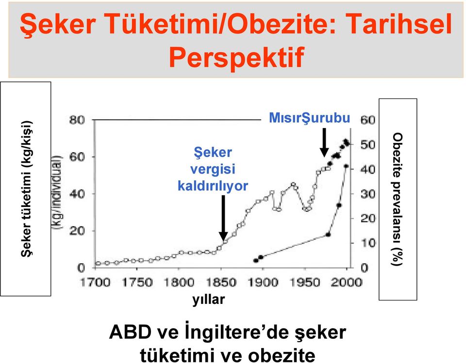 kaldırılıyor MısırŞurubu Obezite prevalansı