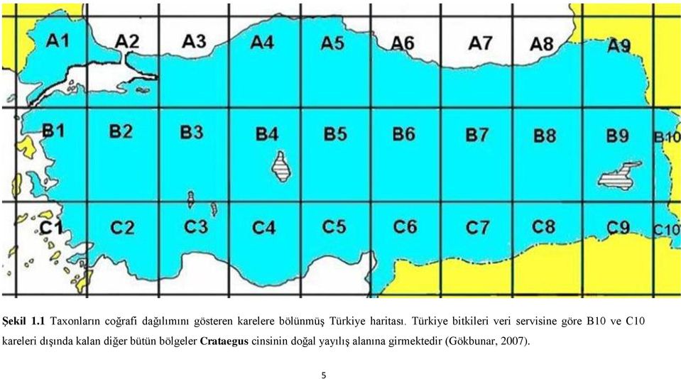 Türkiye haritası.