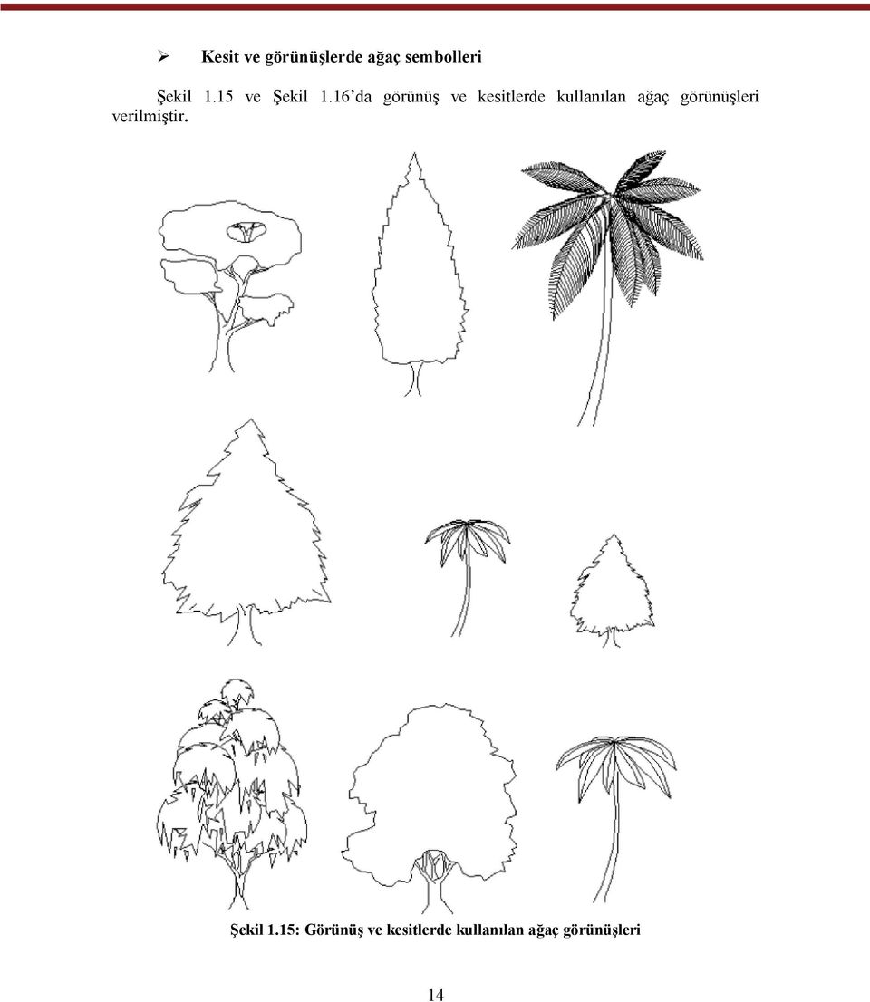 16 da görünüş ve kesitlerde kullanılan ağaç