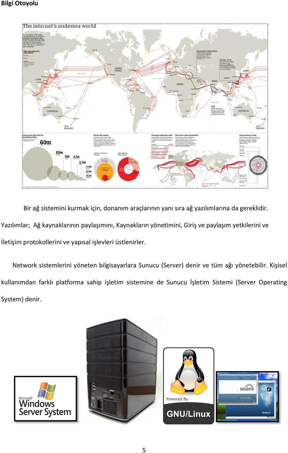 protokollerini ve yapısal işlevleri üstlenirler.