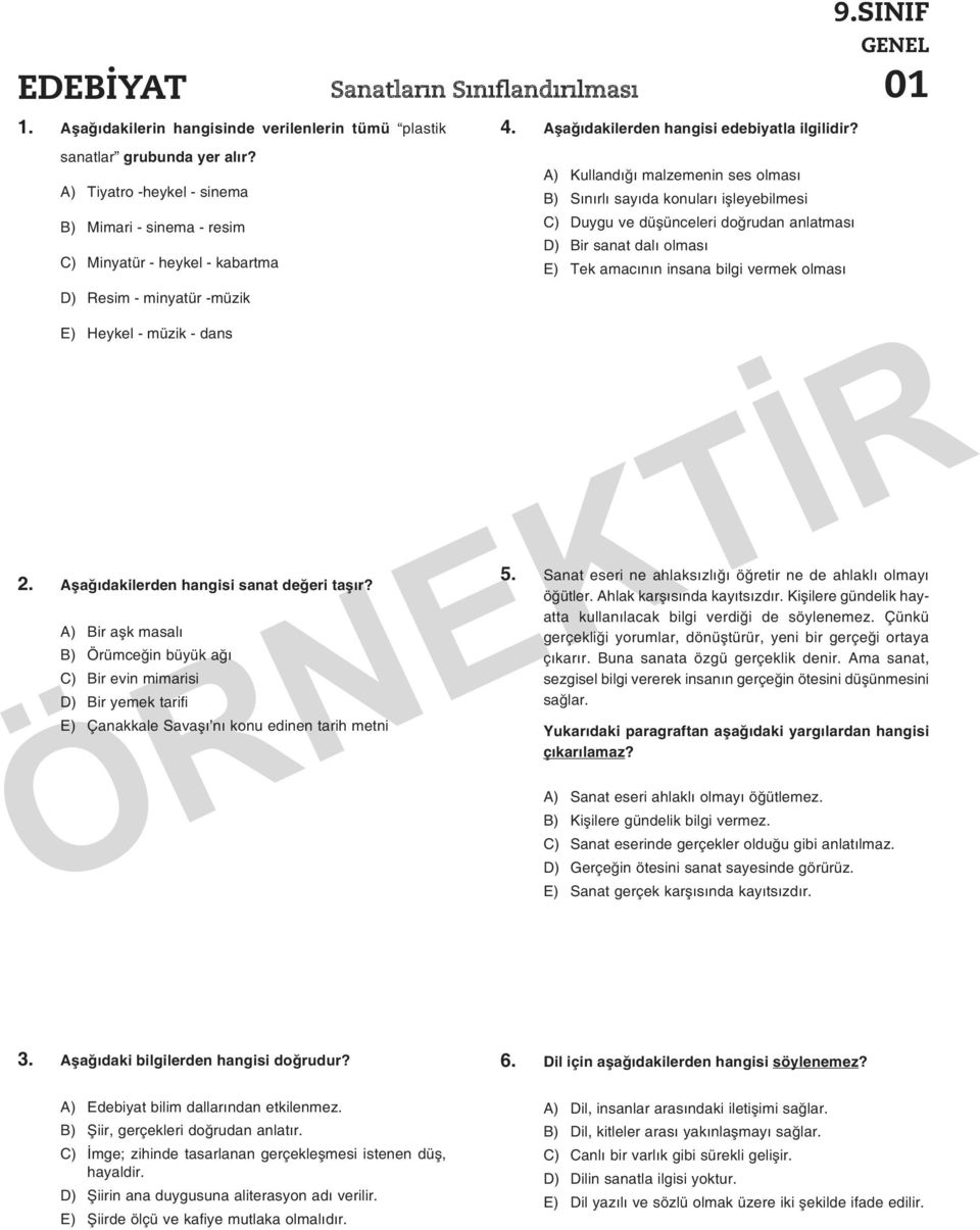 A) Bir aşk masalı B) Örümceğin büyük ağı C) Bir evin mimarisi D) Bir yemek tarifi E) Çanakkale Savaşı nı konu edinen tarih metni Sanatların Sınıflandırılması 4.