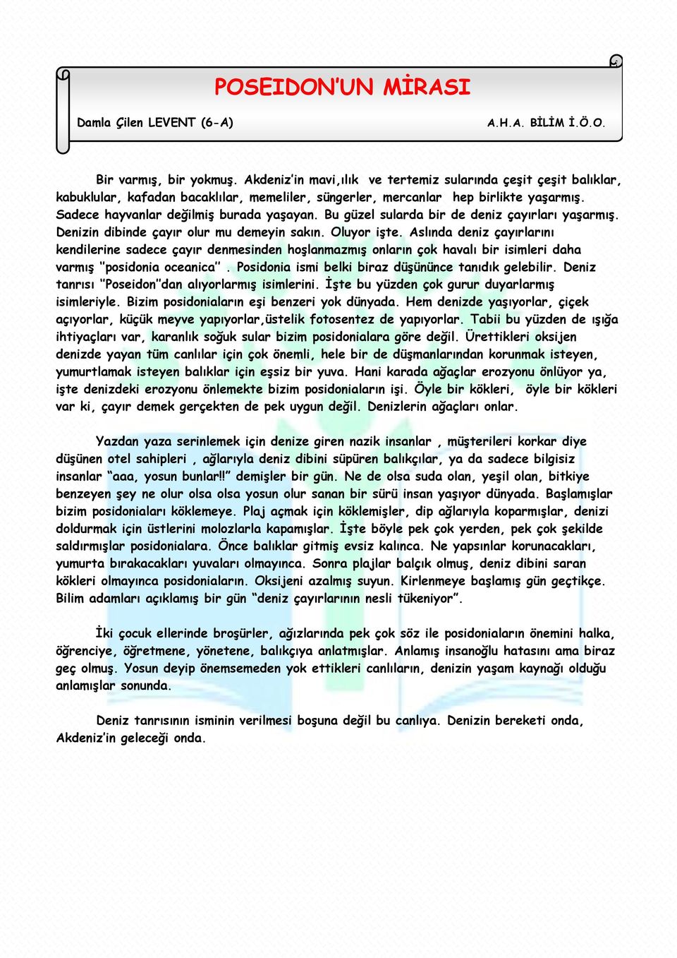 Bu güzel sularda bir de deniz çayırları yaģarmıģ. Denizin dibinde çayır olur mu demeyin sakın. Oluyor iģte.