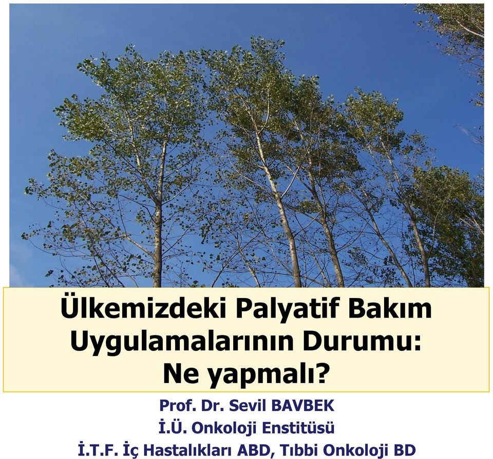 Prof. Dr. Sevil BAVBEK Ġ.Ü.