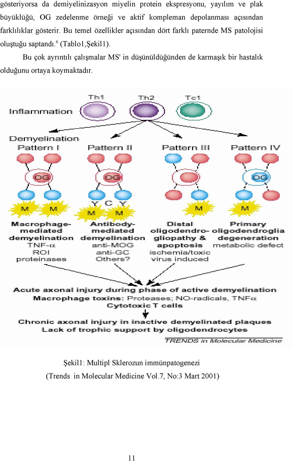 Bu temel özellikler açısından dört farklı paternde MS patolojisi oluştuğu saptandı. 6 (Tablo1,Şekil1).