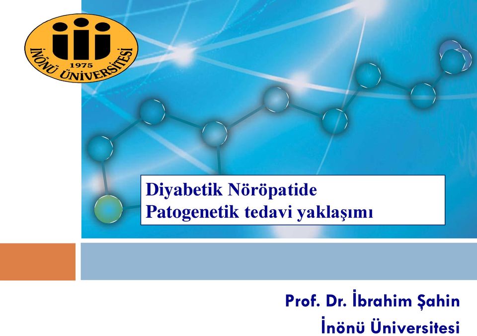 yaklaşımı Prof. Dr.