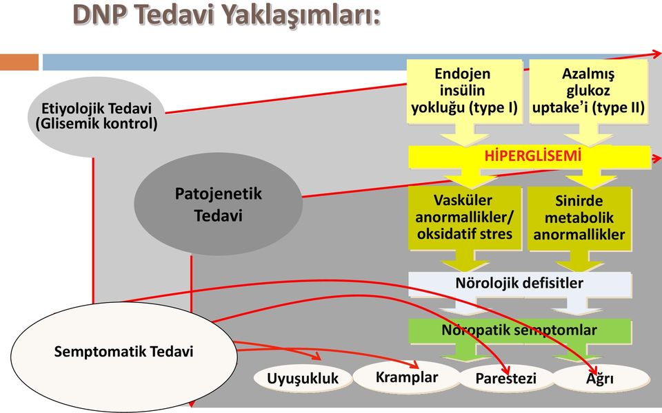 Tedavi Vasküler anormallikler/ oksidatif stres Sinirde metabolik anormallikler