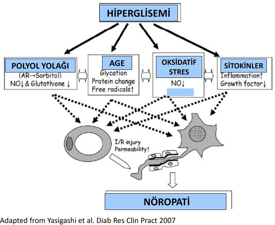 NÖROPATİ Adapted from