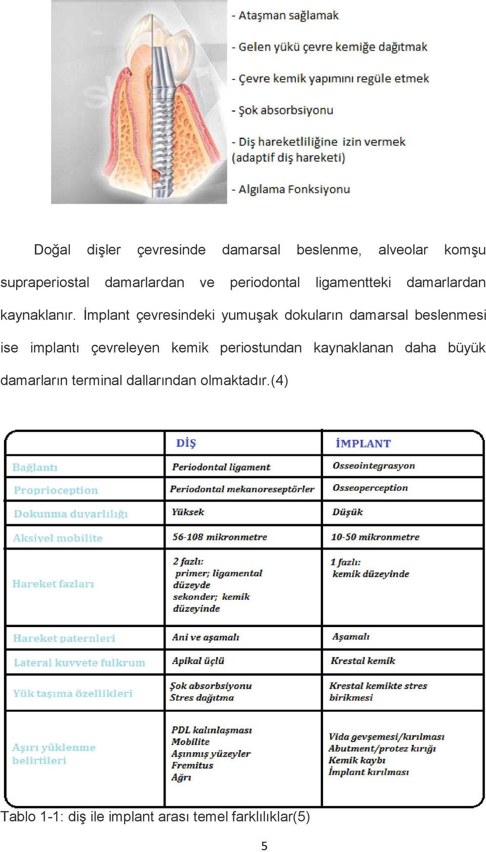 İmplant çevresindeki yumuşak dokuların damarsal beslenmesi ise implantı çevreleyen kemik