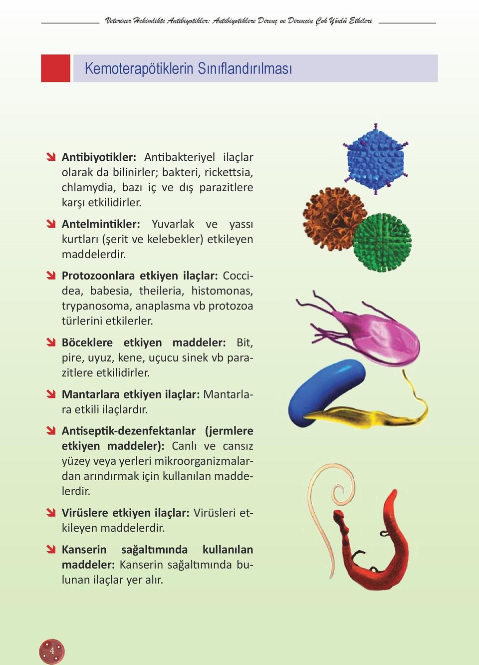 Protozoonlara etkiyen ilaçlar: Coccidea, babesia, theileria, histomonas, trypanosoma, anaplasma vb protozoa türlerini etkilerler.