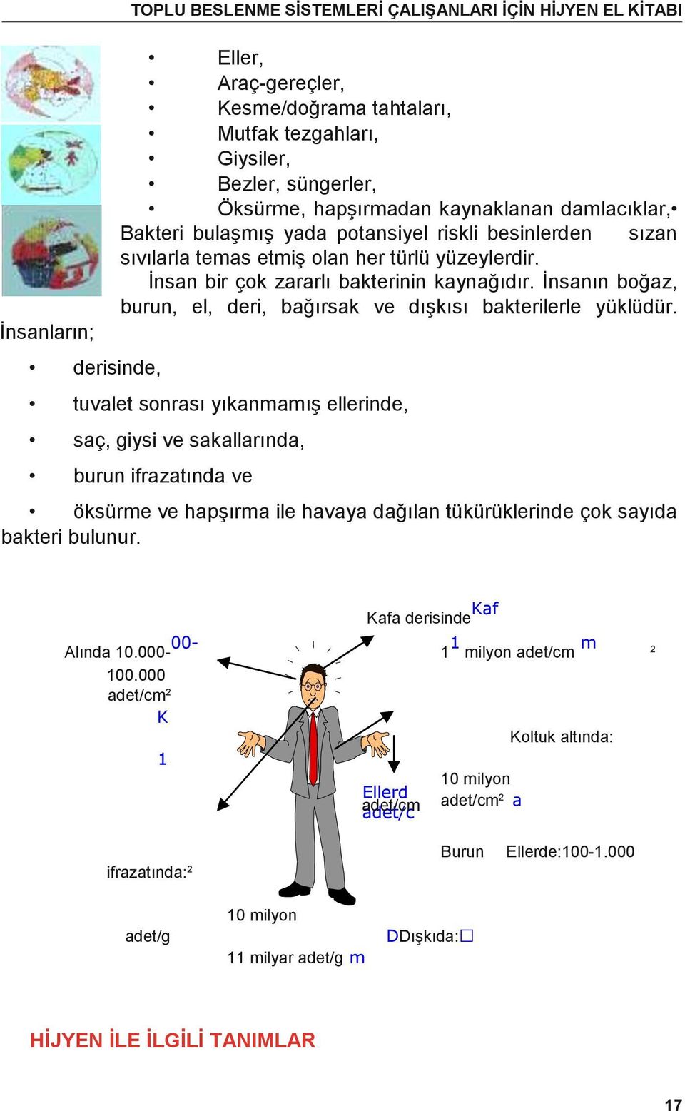 İnsanın boğaz, burun, el, deri, bağırsak ve dışkısı bakterilerle yüklüdür.