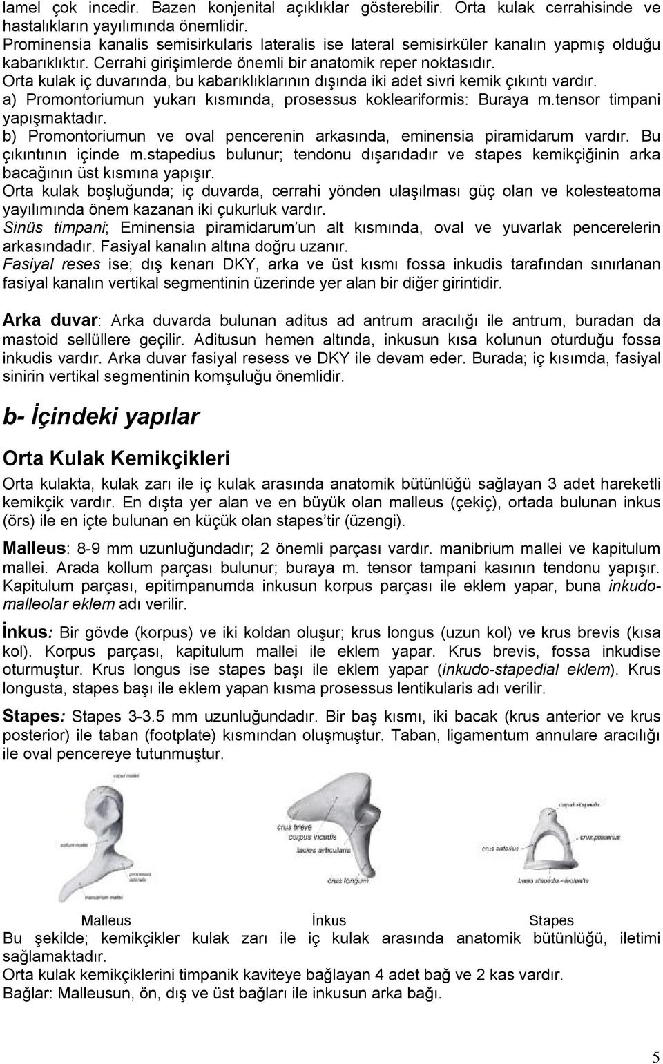 Orta kulak iç duvarında, bu kabarıklıklarının dışında iki adet sivri kemik çıkıntı vardır. a) Promontoriumun yukarı kısmında, prosessus kokleariformis: Buraya m.tensor timpani yapışmaktadır.