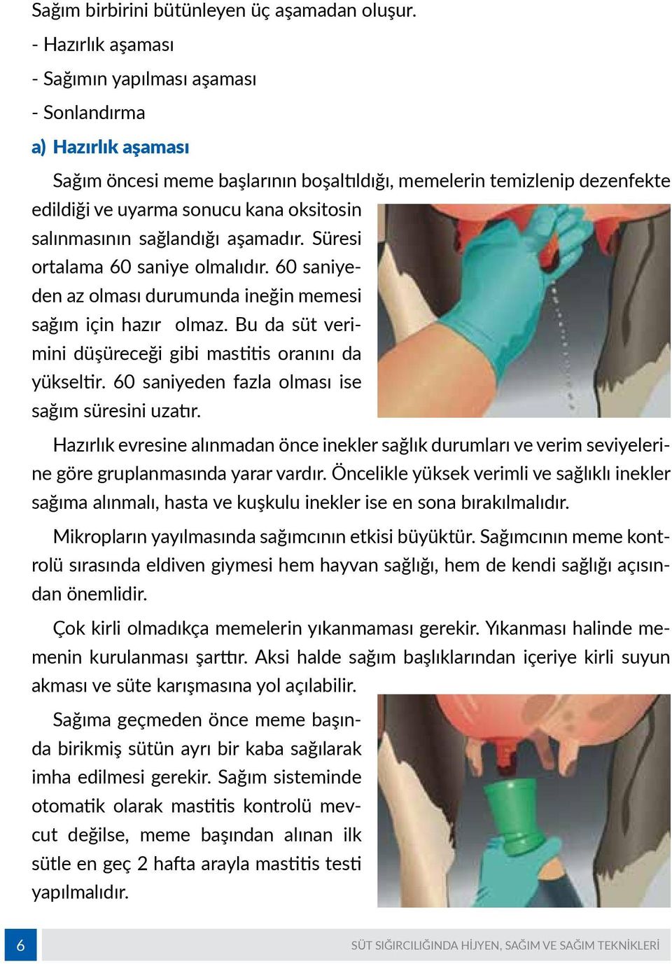 salınmasının sağlandığı aşamadır. Süresi ortalama 60 saniye olmalıdır. 60 saniyeden az olması durumunda ineğin memesi sağım için hazır olmaz.