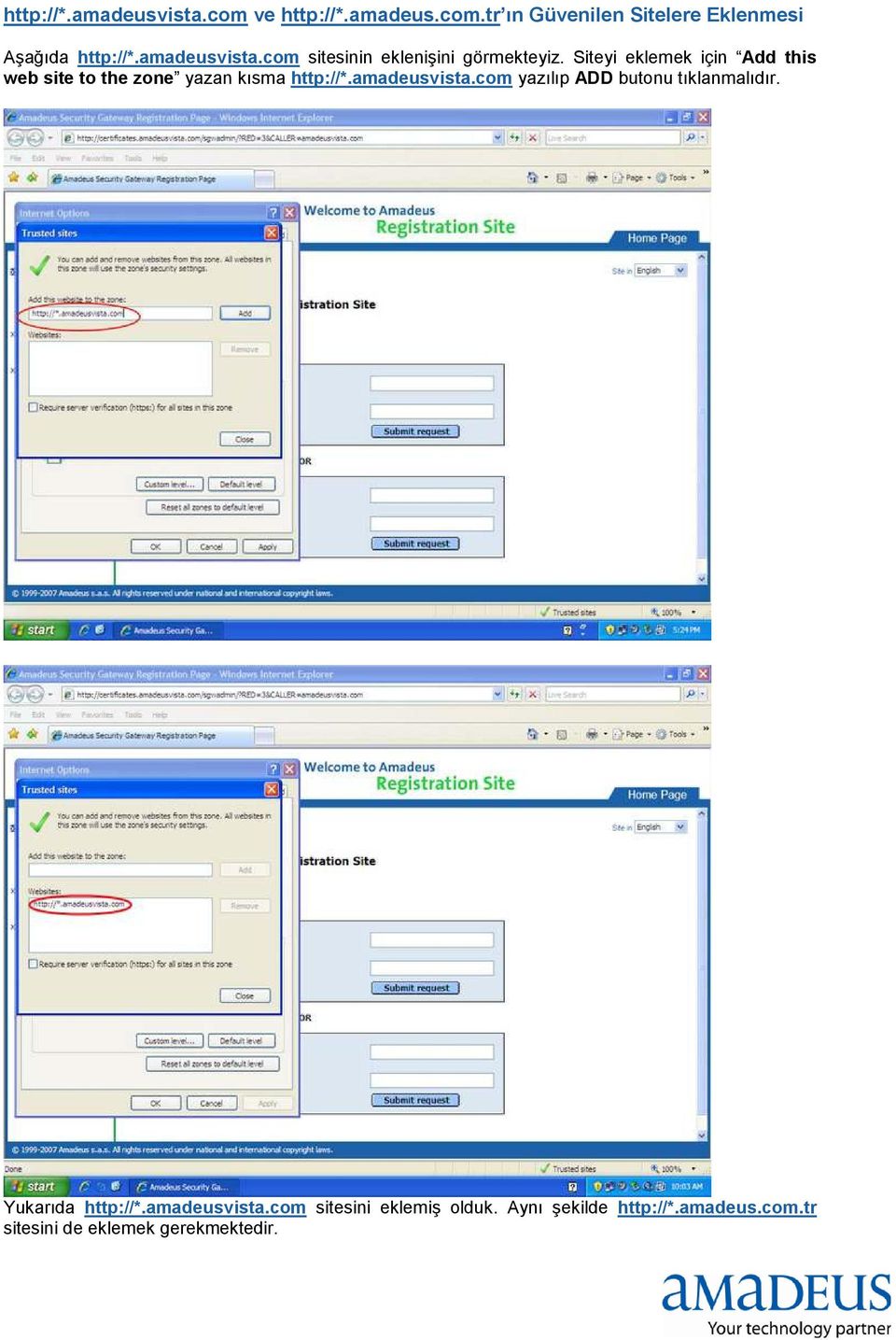 Siteyi eklemek için Add this web site to the zone yazan kısma http://*.amadeusvista.