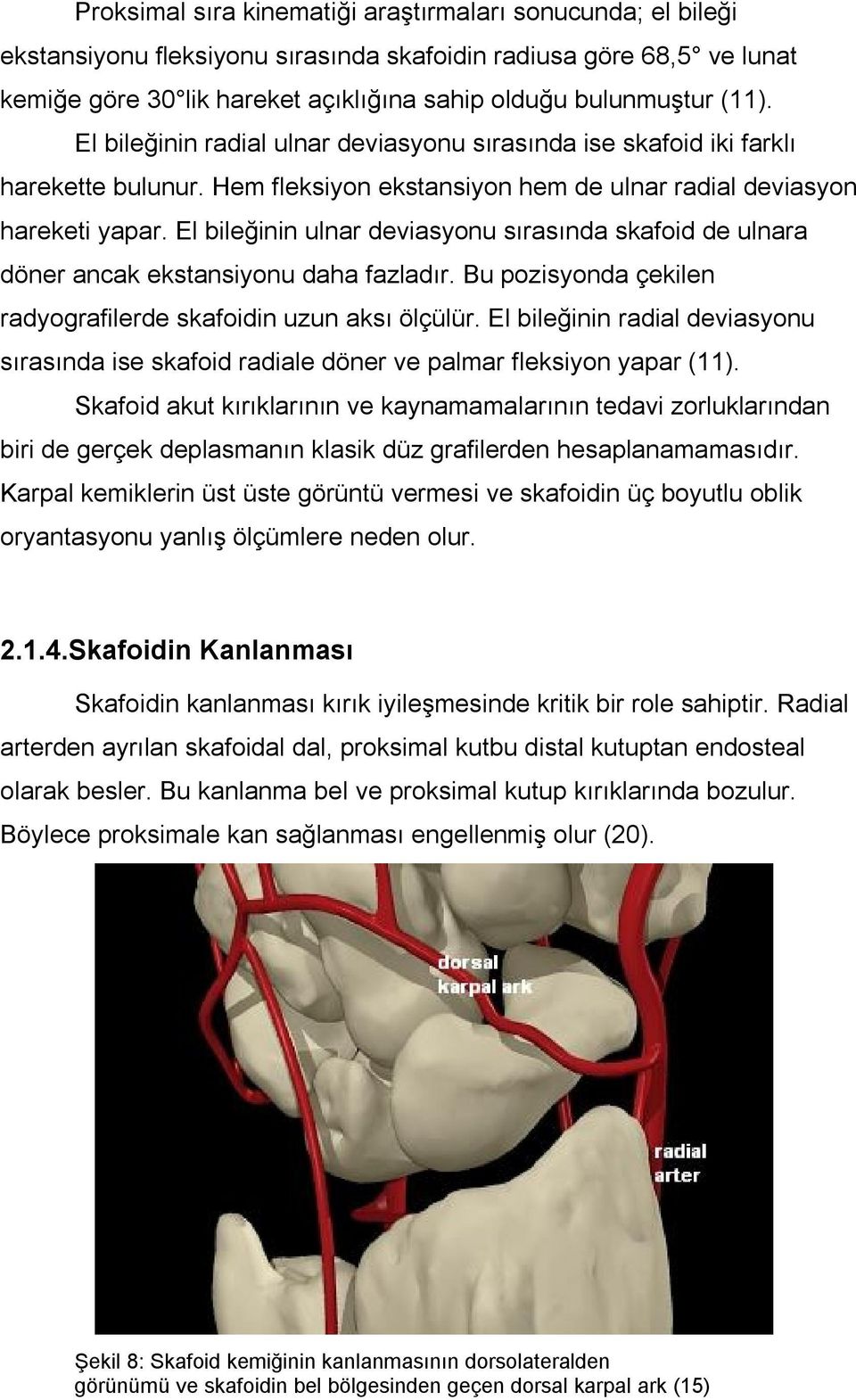 El bileğinin ulnar deviasyonu sırasında skafoid de ulnara döner ancak ekstansiyonu daha fazladır. Bu pozisyonda çekilen radyografilerde skafoidin uzun aksı ölçülür.