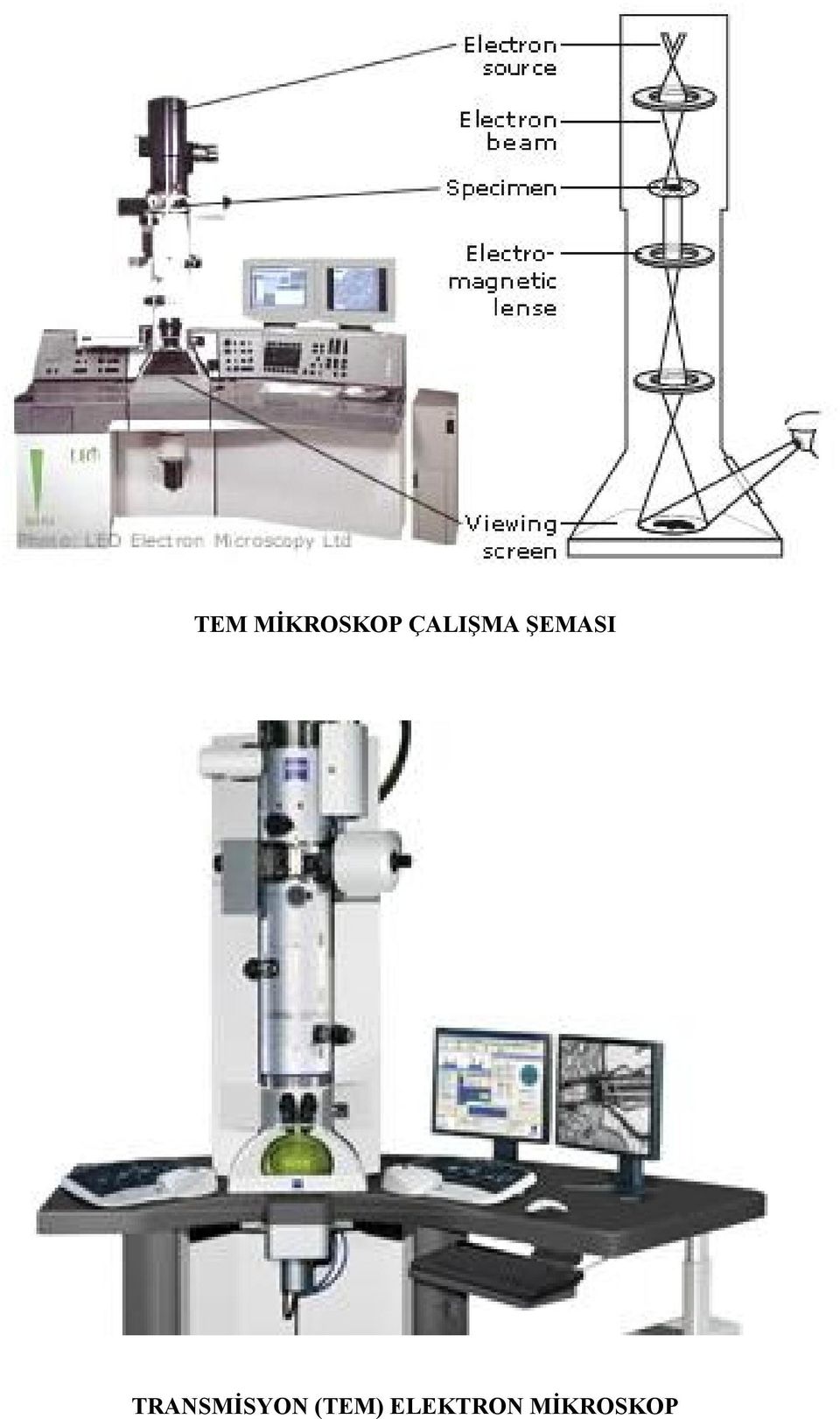 TRANSMİSYON