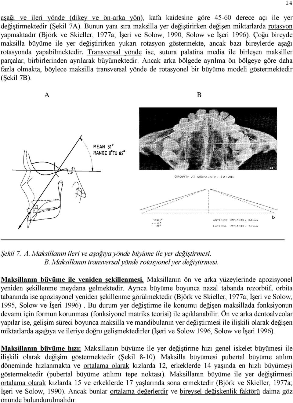 Çoğu bireyde maksilla büyüme ile yer değiştirirken yukarı rotasyon göstermekte, ancak bazı bireylerde aşağı rotasyonda yapabilmektedir.