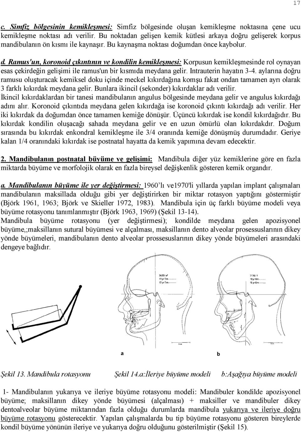 ğru gelişerek korpus mandibulanın ön kısmı ile kaynaşır. Bu kaynaşma noktası do