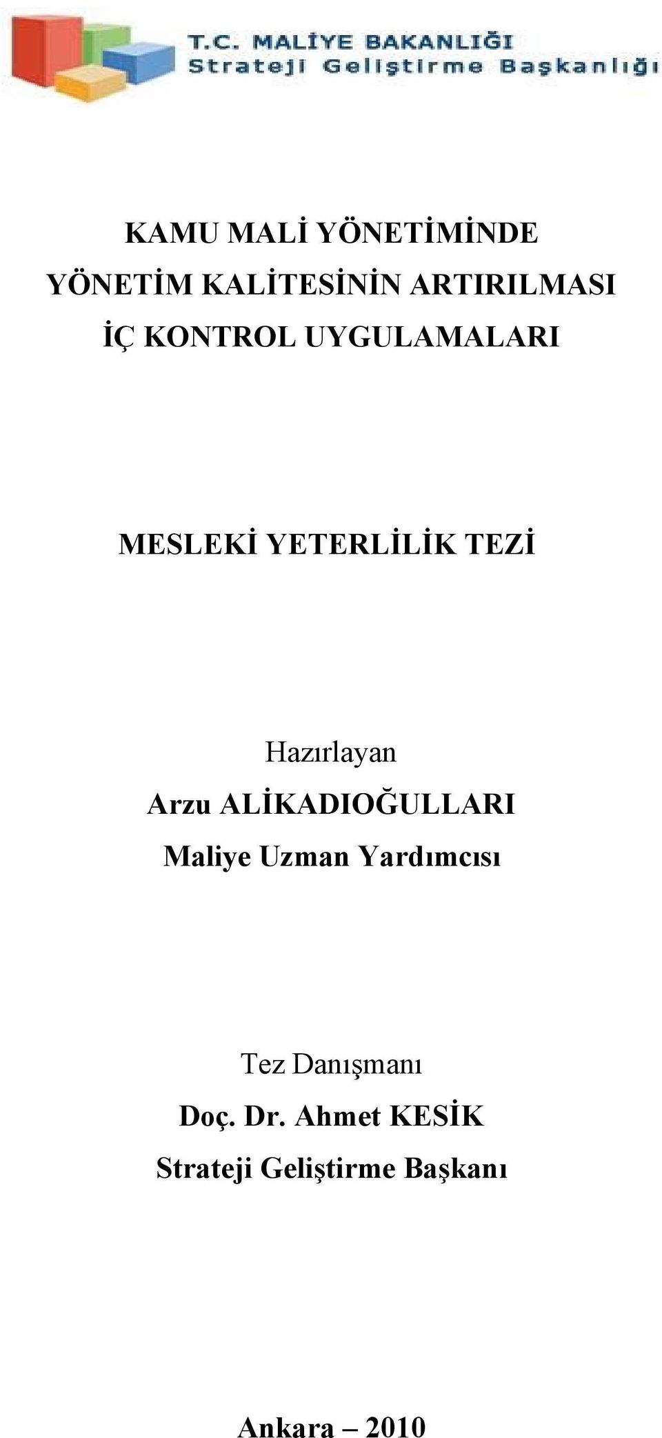 Arzu ALİKADIOĞULLARI Maliye Uzman Yardımcısı Tez