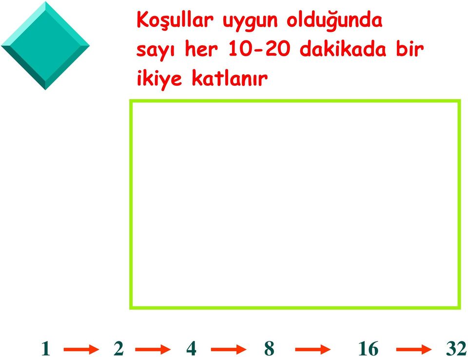 10-20 dakikada bir