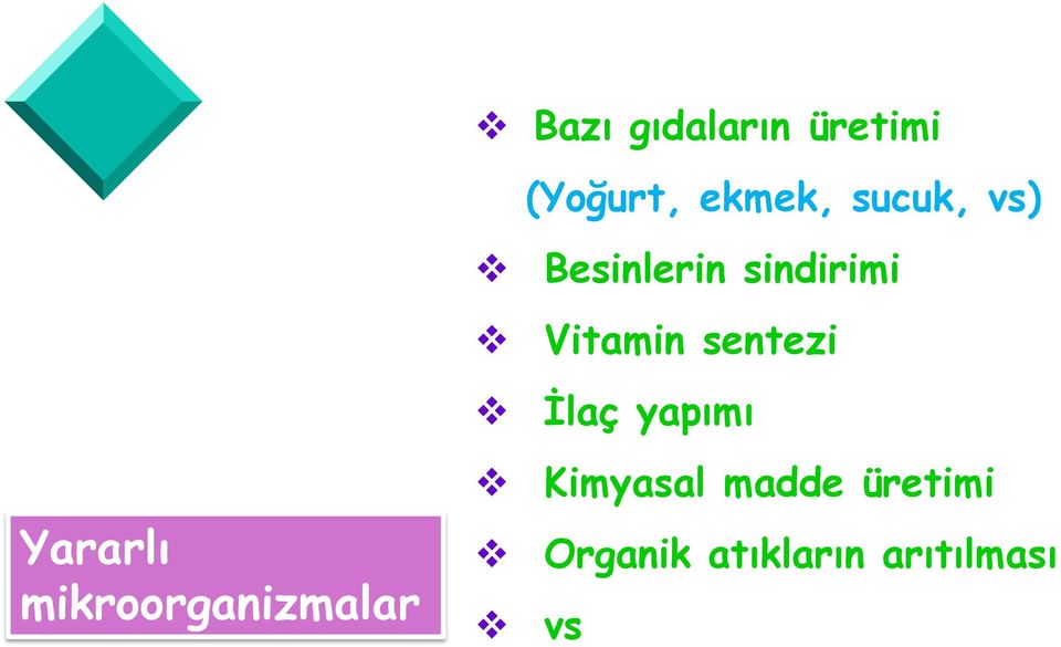 Besinlerin sindirimi Vitamin sentezi İlaç