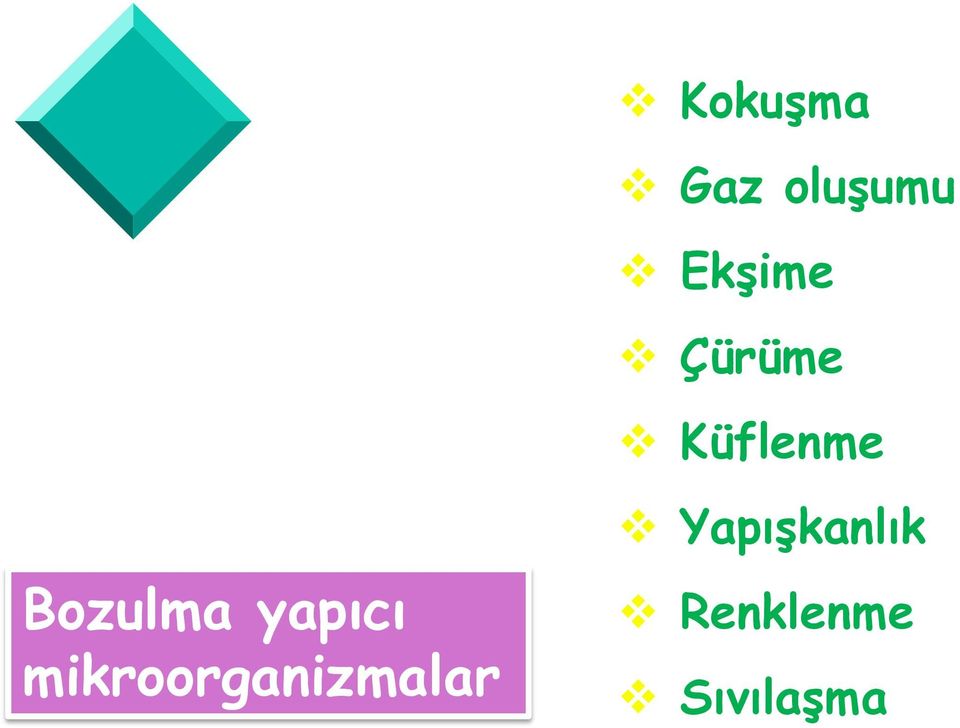 yapıcı mikroorganizmalar