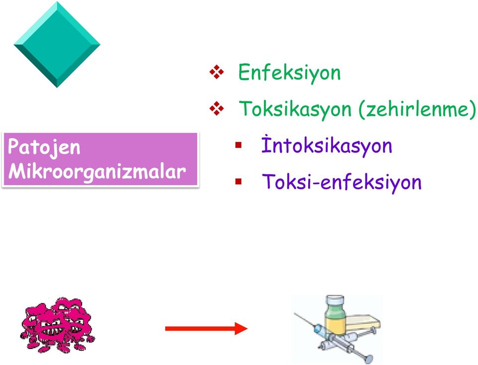 Mikroorganizmalar