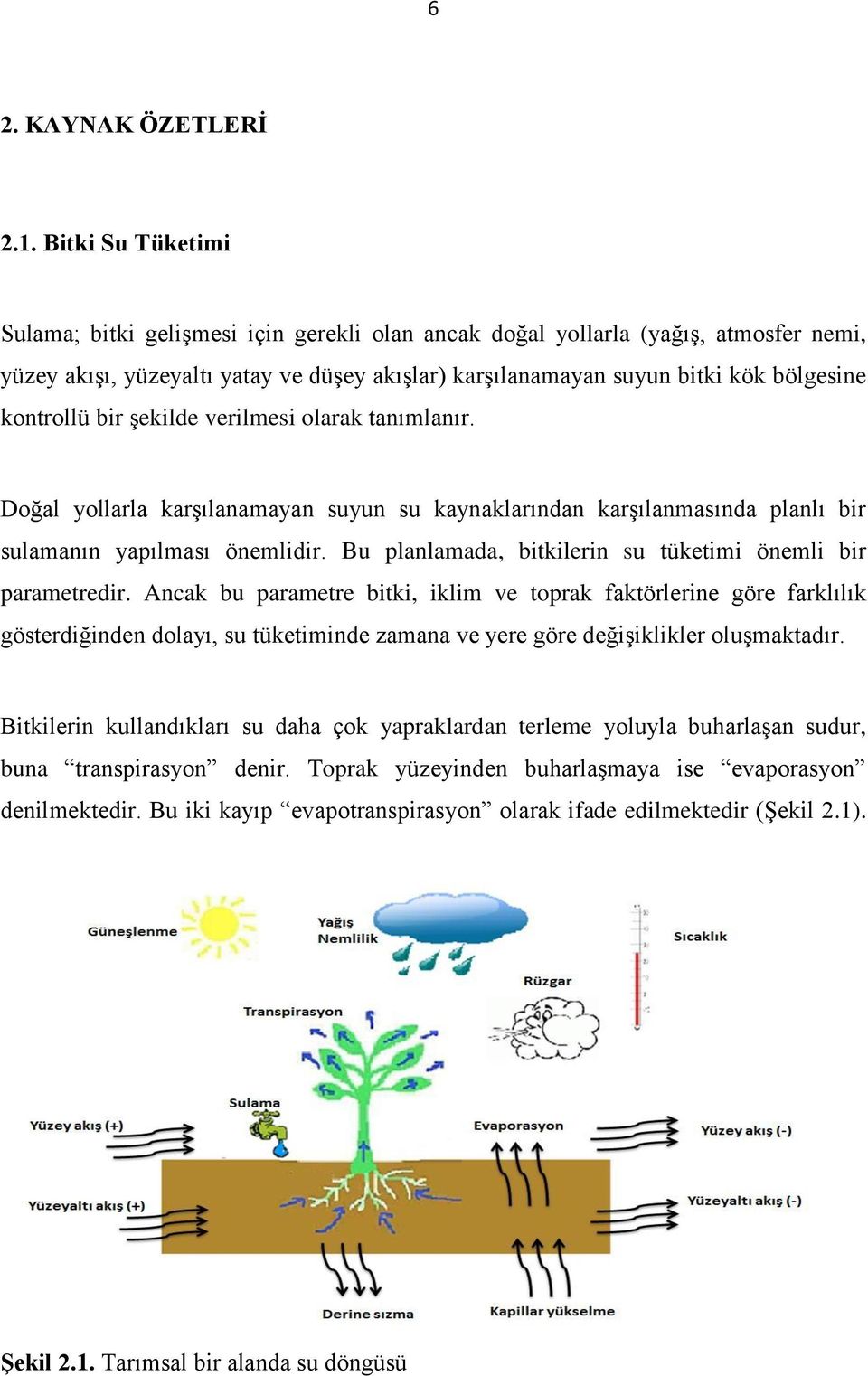 kontrollü bir şekilde verilmesi olarak tanımlanır. Doğal yollarla karşılanamayan suyun su kaynaklarından karşılanmasında planlı bir sulamanın yapılması önemlidir.