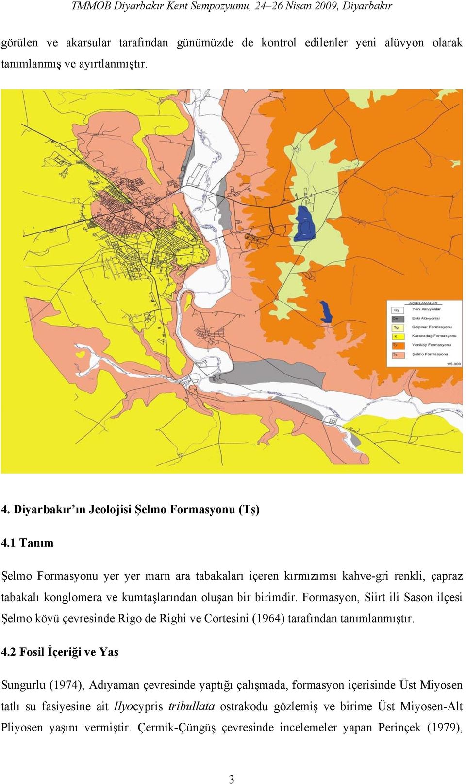 Formasyon, Siirt ili Sason ilçesi Şelmo köyü çevresinde Rigo de Righi ve Cortesini (1964) tarafından tanımlanmıştır. 4.