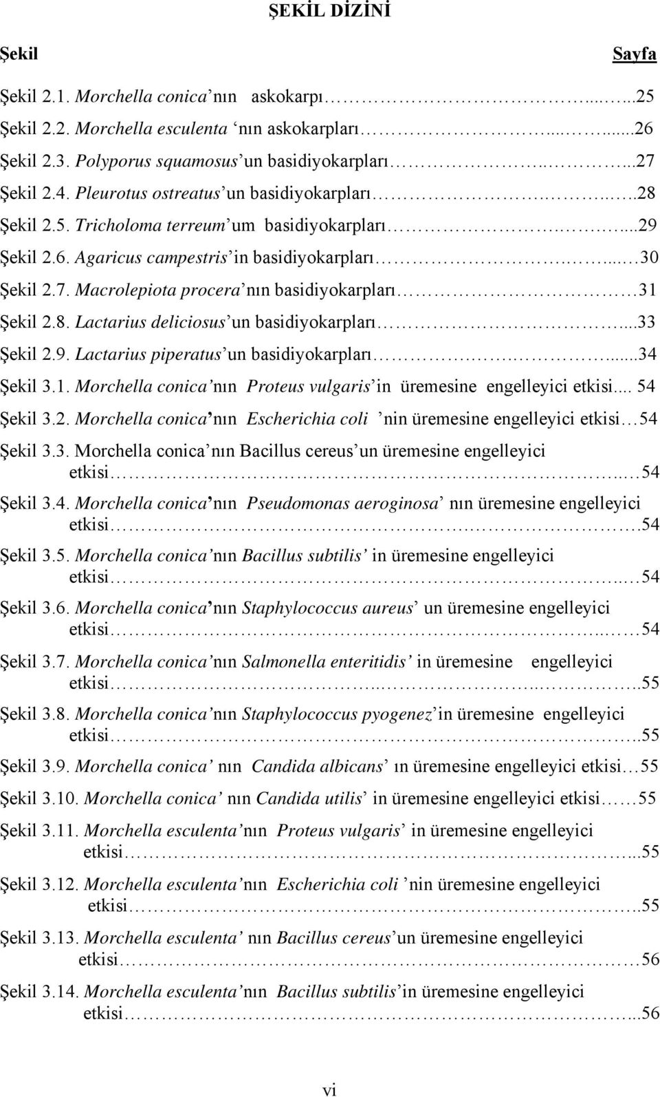 Macrolepiota procera nın basidiyokarpları 31 Şekil 2.8. Lactarius deliciosus un basidiyokarpları...33 Şekil 2.9. Lactarius piperatus un basidiyokarpları.....34 Şekil 3.1. Morchella conica nın Proteus vulgaris in.