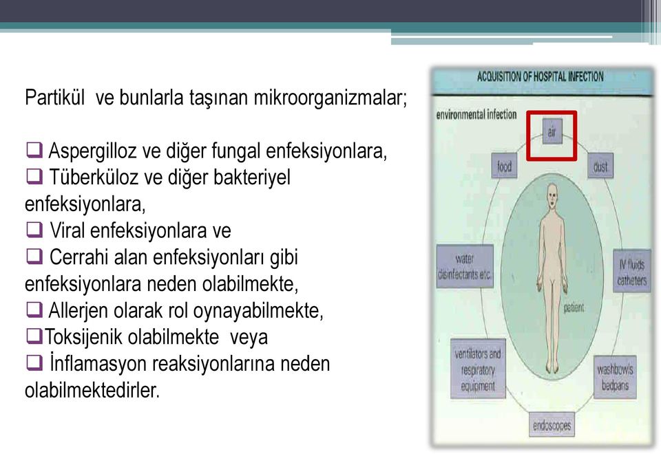 Cerrahi alan enfeksiyonları gibi enfeksiyonlara neden olabilmekte, Allerjen olarak rol