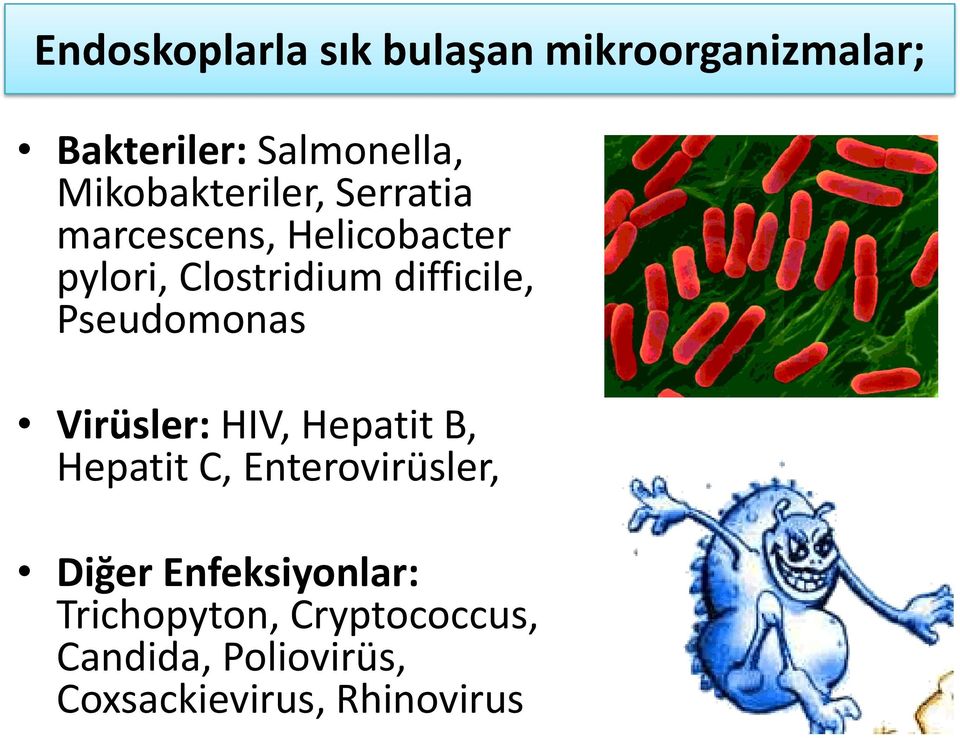 difficile, Pseudomonas Virüsler: HIV, Hepatit B, Hepatit C, Enterovirüsler,